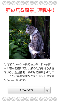 「猫の居る風景」ブログ公開中