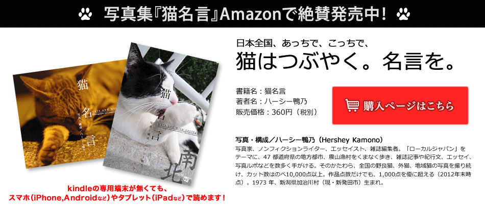 写真集『猫名言』Amazon(Kindleストアー)で近日発売！